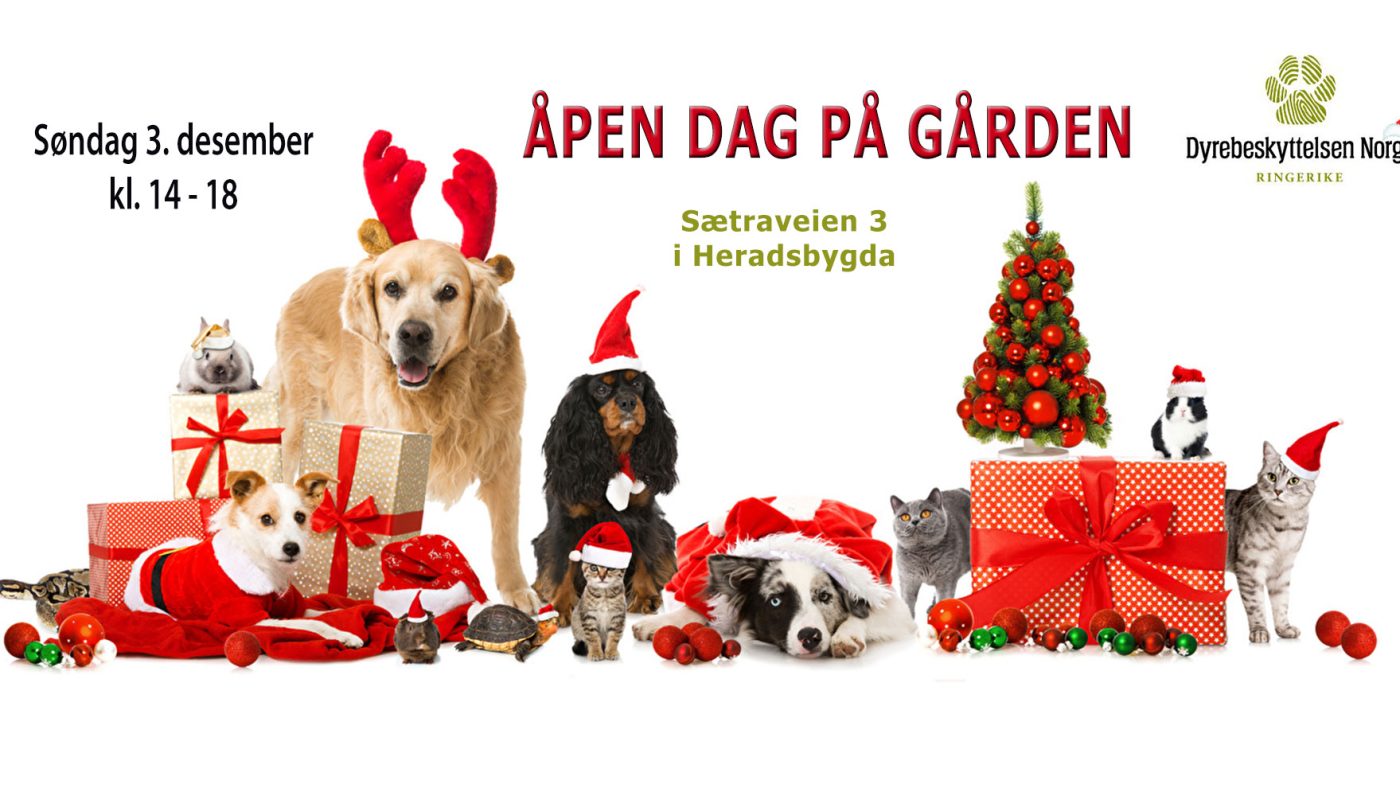 Åpen dag 3. desember